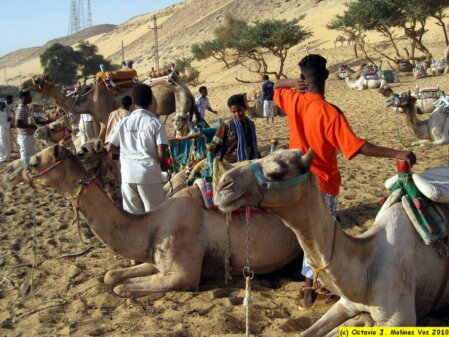 ASWAN (EGIPTO), 2010